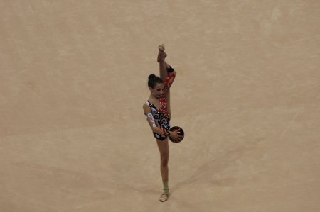 023-dsc_0393.jpg.medium.jpeg