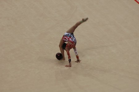 024-dsc_0394.jpg.medium.jpeg