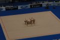 037-dsc_0485.jpg.small.jpeg