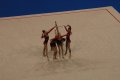 044-dsc_0514.jpg.small.jpeg
