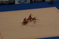 045-dsc_0516.jpg.small.jpeg