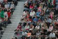 053-dsc_0559.jpg.small.jpeg
