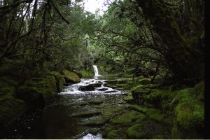 La cascata vicino a New Pelion Hut